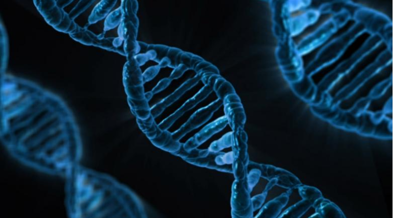 MODY: More Than Just A Single-Gene Disruption